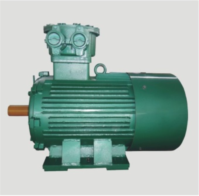 高壓防爆電機(jī)滾動軸承的選型